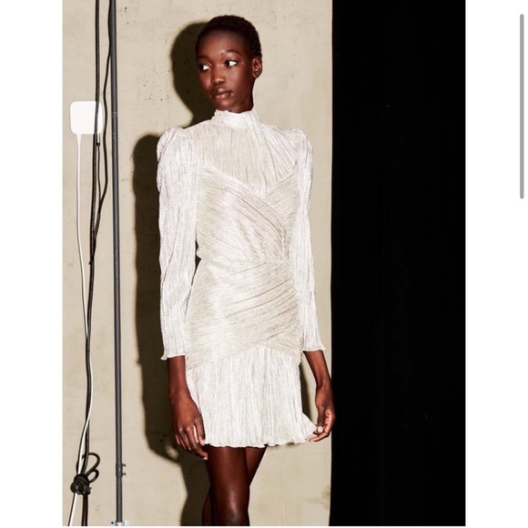 Saylor Saydee platinum dress (Revolve) - Picture 5 of 15